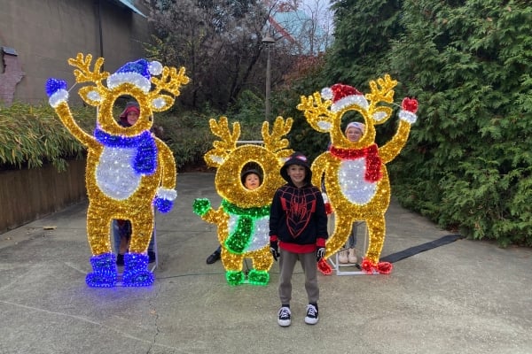 Chaos, Cookies, and Christmas Magic – A Kid-Powered Holiday Special